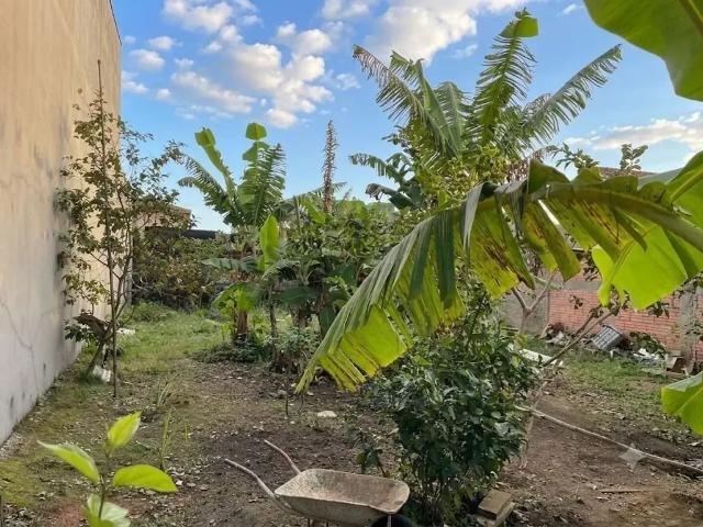 Terreno / Lote para Venda em Peruíbe/SP Centro