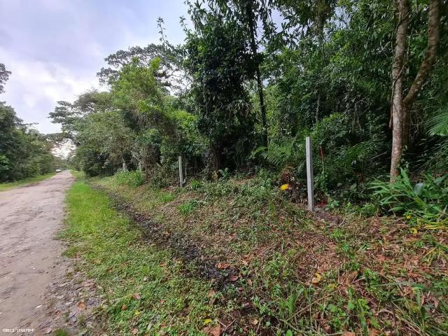 Terreno / Lote para Venda em Peruíbe/SP Guaraú