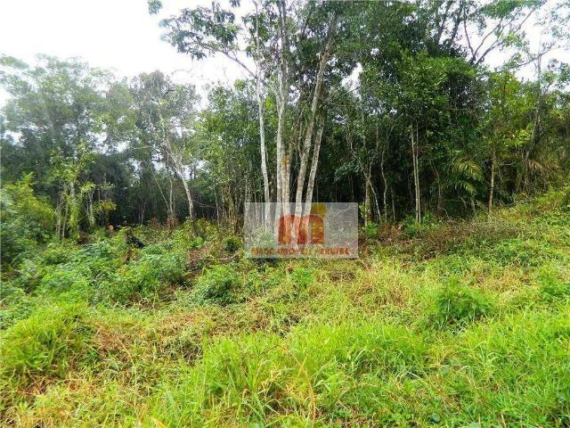 Terreno / Lote para Venda em Peruíbe/SP Cidade Nova Peruibe