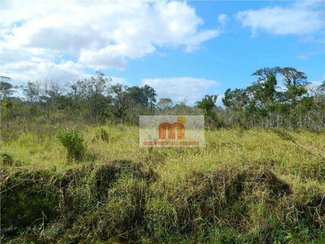 Terreno / Lote para Venda em Peruíbe/SP Cidade Nova Peruibe