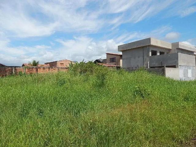 Terreno / Lote para Venda em Peruíbe/SP Cidade Nova Peruibe
