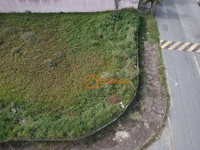 Terreno / Lote para Venda em Peruíbe/SP Cidade Nova Peruibe
