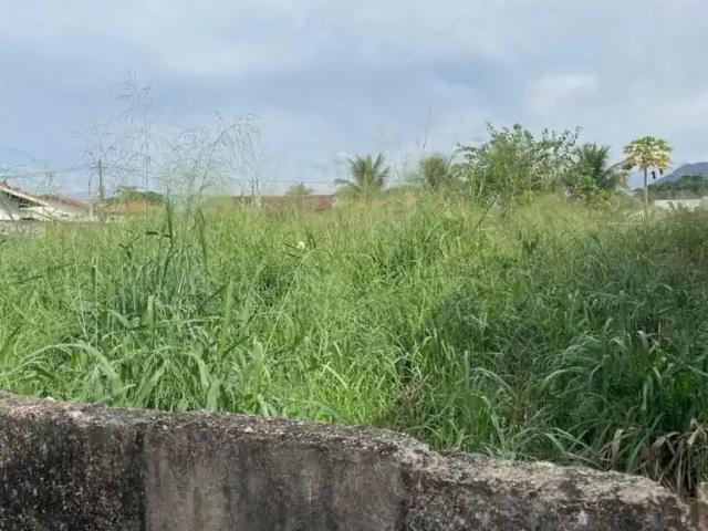 Terreno / Lote para Venda em Peruíbe/SP Cidade Nova Peruibe