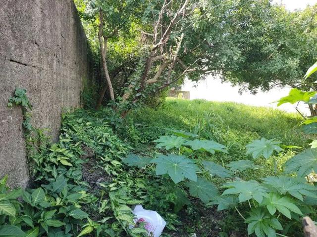 Terreno / Lote para Venda em Peruíbe/SP Cidade Balneária Peruíbe/SCIPEL