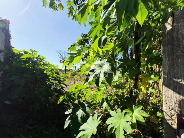 Terreno / Lote para Venda em Peruíbe/SP Balneário Josedy