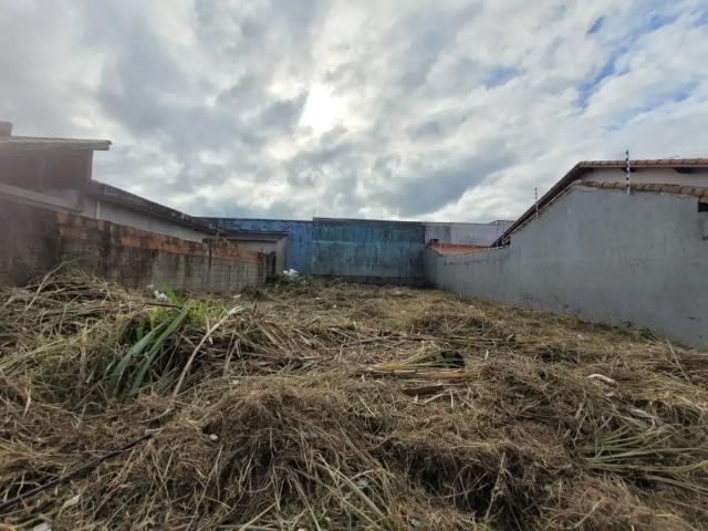 Terreno / Lote para Venda em Peruíbe/SP Balneário Josedy