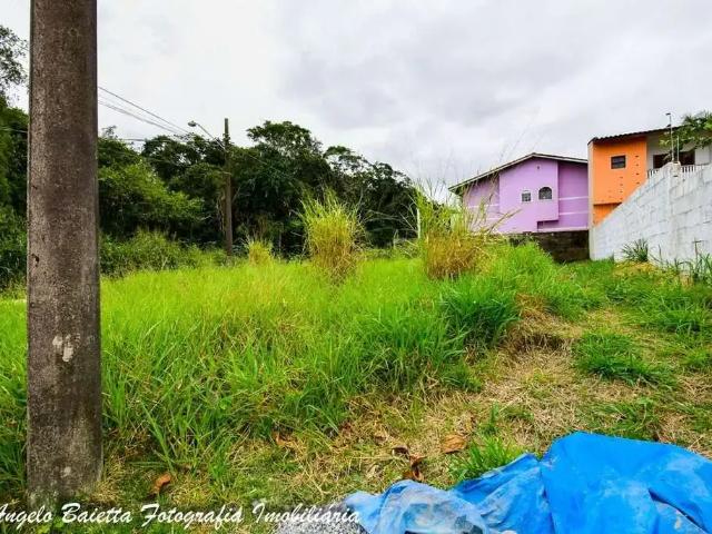 Terreno / Lote para Venda em Peruíbe/SP Balneário São João Batista