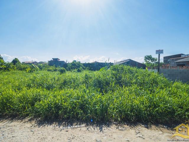 Terreno / Lote para Venda em Peruíbe/SP Balneário São João Batista II