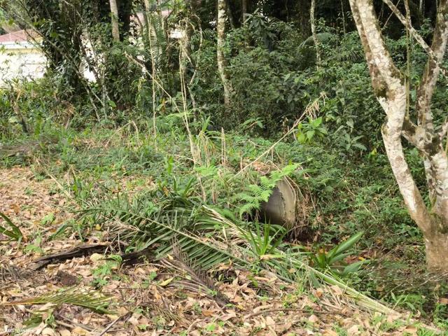 Terreno / Lote para Venda em Peruíbe/SP Guaraú