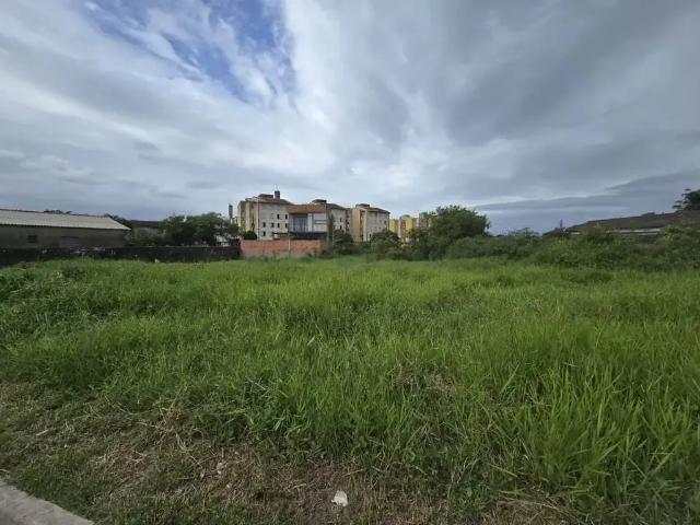 Terreno / Lote para Venda em Peruíbe/SP Estancia Dos Eucaliptos