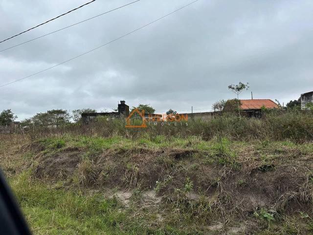 Terreno / Lote para Venda em Peruíbe/SP Estancia Dos Eucaliptos