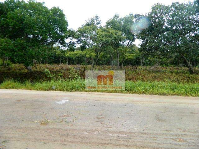 Terreno / Lote para Venda em Peruíbe/SP Estância Santa Gabriela