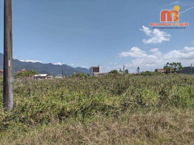Terreno / Lote para Venda em Peruíbe/SP Estância Santa Izabel