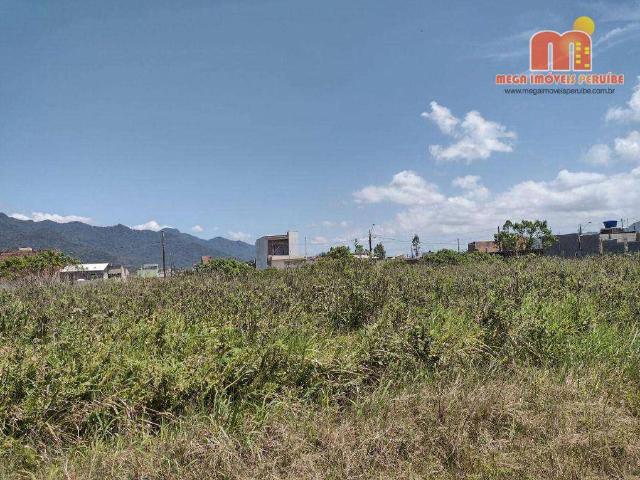 Terreno / Lote para Venda em Peruíbe/SP Estância Santa Izabel