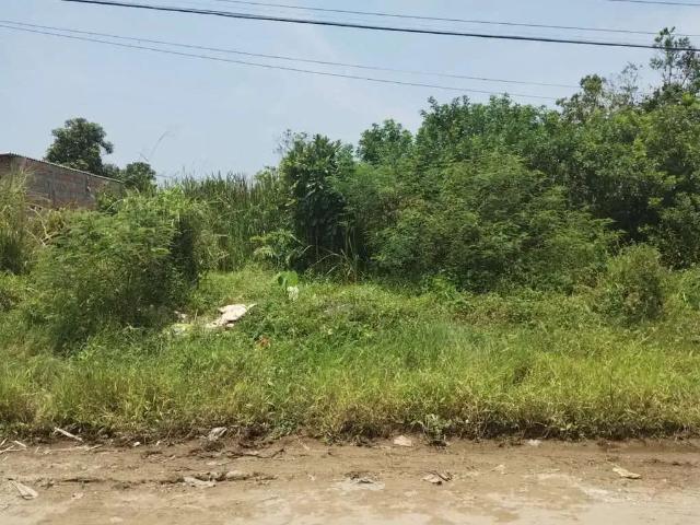 Terreno / Lote para Venda em Peruíbe/SP Jardim Caraguava