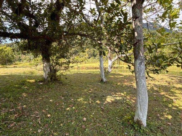 Terreno / Lote para Venda em Peruíbe/SP Jardim Europa