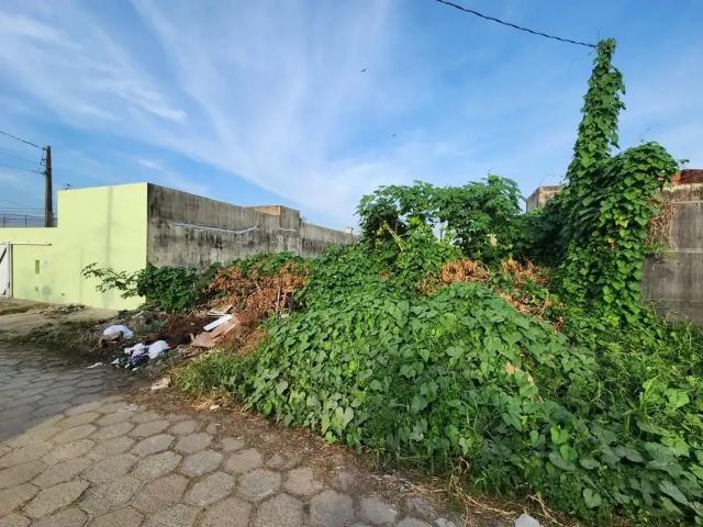 Terreno / Lote para Venda em Peruíbe/SP Jardim Ribamar