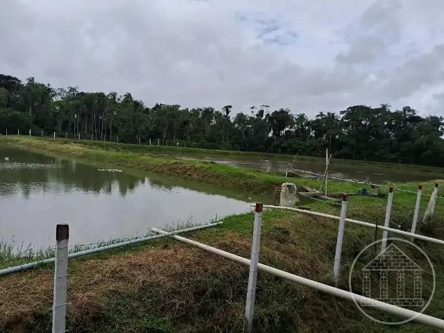 Terreno / Lote para Venda em Peruíbe/SP Jardim Ribamar