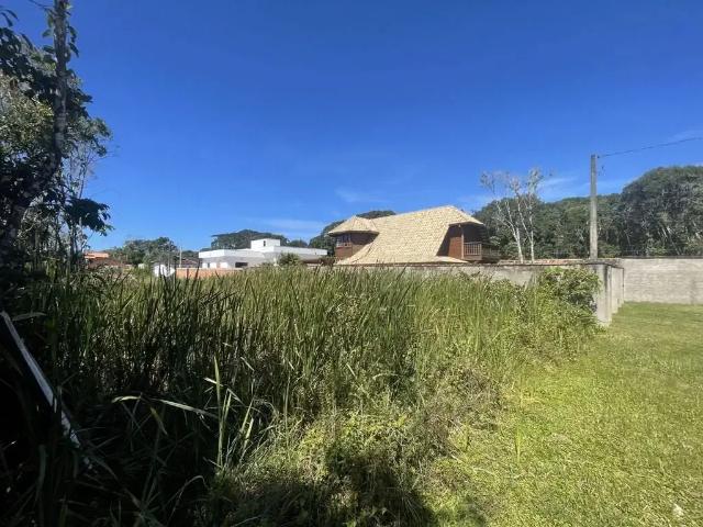 Terreno / Lote para Venda em Peruíbe/SP Jardim São Luis