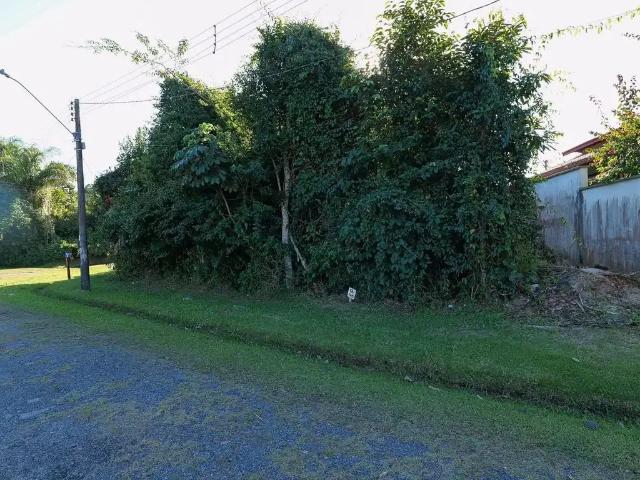 Terreno / Lote para Venda em Peruíbe/SP Jardim São Luis