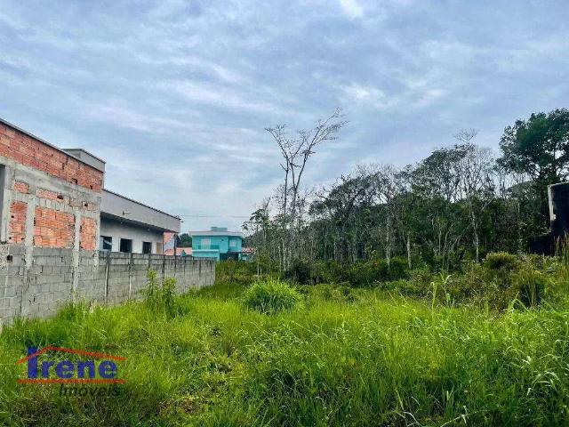 Terreno / Lote para Venda em Peruíbe/SP Jardim São Luis