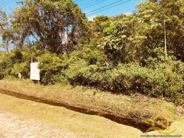 Terreno / Lote para Venda em Peruíbe/SP Jardim São Luis