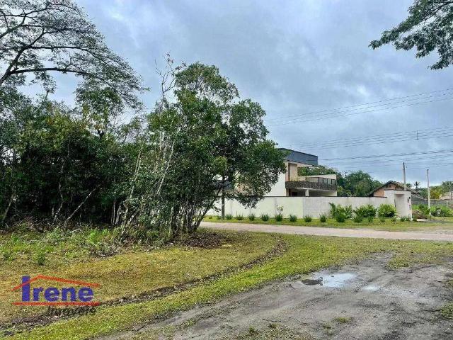 Terreno / Lote para Venda em Peruíbe/SP Jardim São Luis