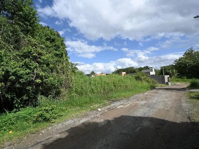 Terreno / Lote para Venda em Peruíbe/SP Parque Balneário Oásis