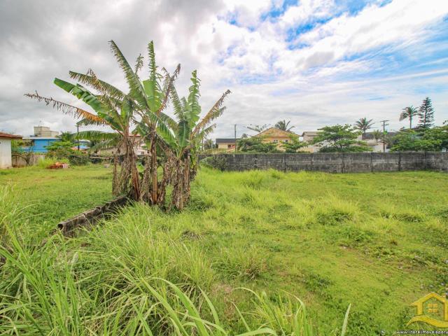 Terreno / Lote para Venda em Peruíbe/SP Parque Balneário Oásis