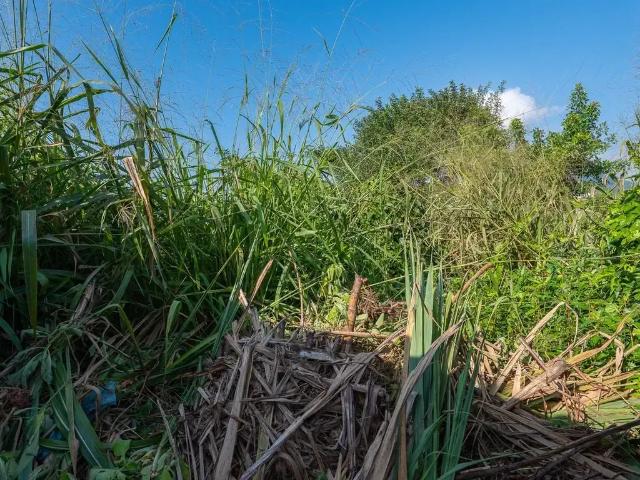 Terreno / Lote para Venda em Peruíbe/SP Parque D'Aville