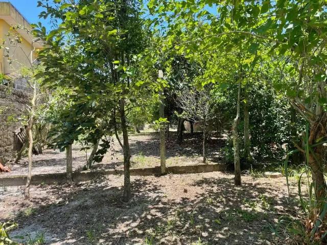 Terreno / Lote para Venda em Peruíbe/SP Vila Romar