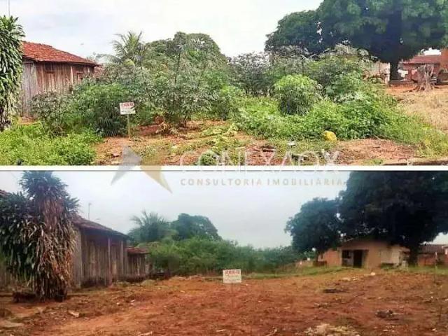 Terreno / Lote para Venda em Pérola/PR Centro