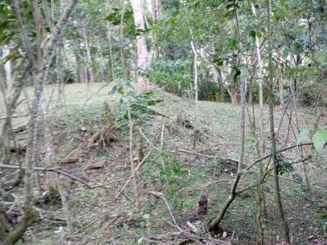 Terreno / Lote para Venda em Petrópolis/RJ Araras