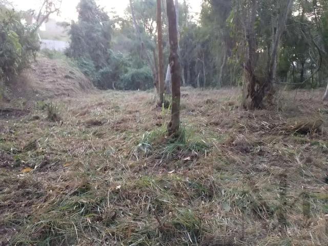 Terreno / Lote para Venda em Petrópolis/RJ Itaipava