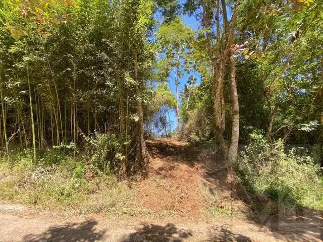 Terreno / Lote para Venda em Petrópolis/RJ Itaipava