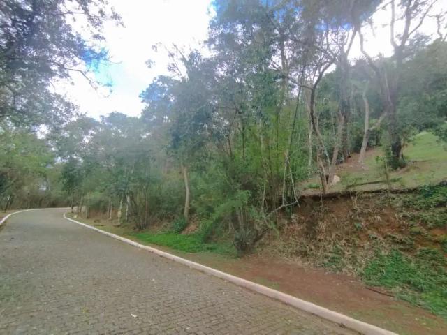 Terreno / Lote para Venda em Petrópolis/RJ Samambaia