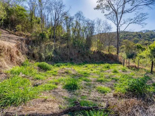 Terreno / Lote para Venda em Petrópolis/RJ Pedro do Rio