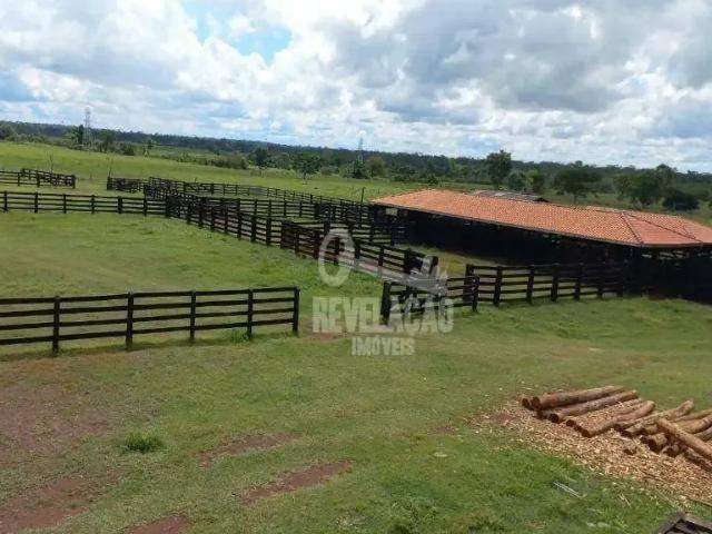 Terreno / Lote para Venda em Pimenta Bueno/RO Alvorada