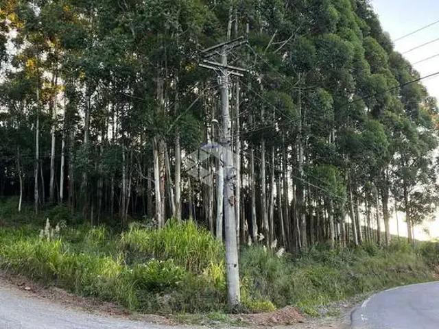 Terreno / Lote para Venda em Pinto Bandeira/RS Centro