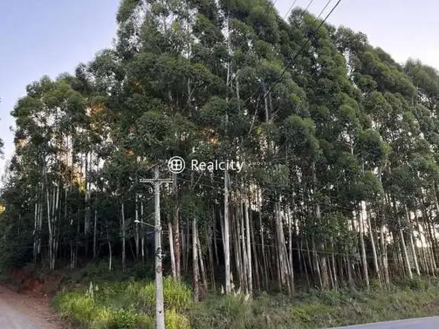 Terreno / Lote para Venda em Pinto Bandeira/RS Centro