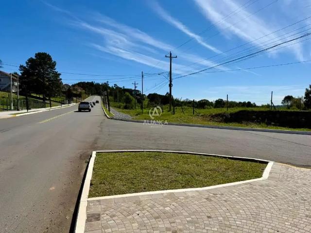 Terreno / Lote para Venda em Pinto Bandeira/RS Centro