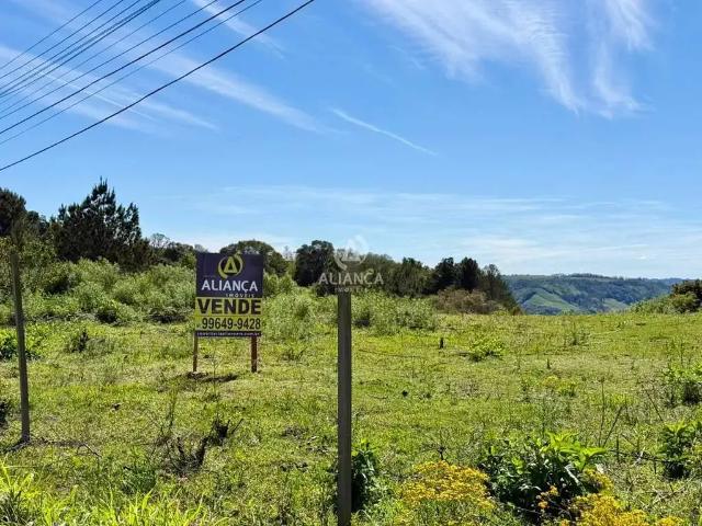 Terreno / Lote para Venda em Pinto Bandeira/RS Centro