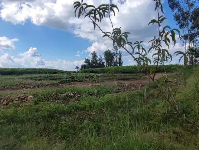 Terreno / Lote para Venda em Pinto Bandeira/RS Zona Rural