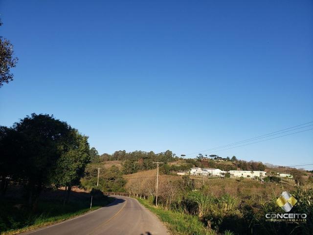 Terreno / Lote para Venda em Pinto Bandeira/RS Zona Rural
