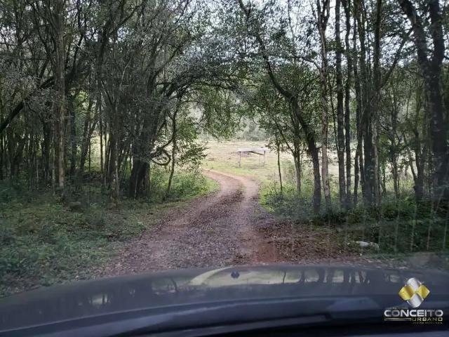 Terreno / Lote para Venda em Pinto Bandeira/RS Zona Rural
