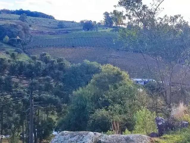 Terreno / Lote para Venda em Pinto Bandeira/RS Zona Rural