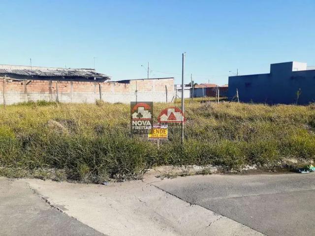 Terreno / Lote para Venda em Pindamonhangaba/SP César Park