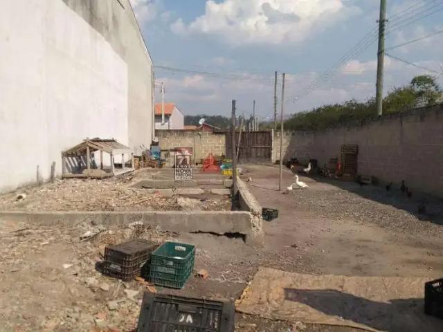 Terreno / Lote para Venda em Pindamonhangaba/SP Jardim Regina Moreira César