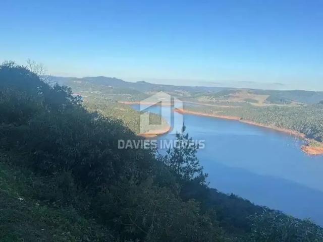 Terreno / Lote para Venda em Pinhão/PR Centro