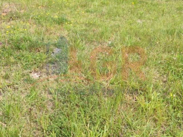 Terreno / Lote para Venda em Pinhais/PR Centro